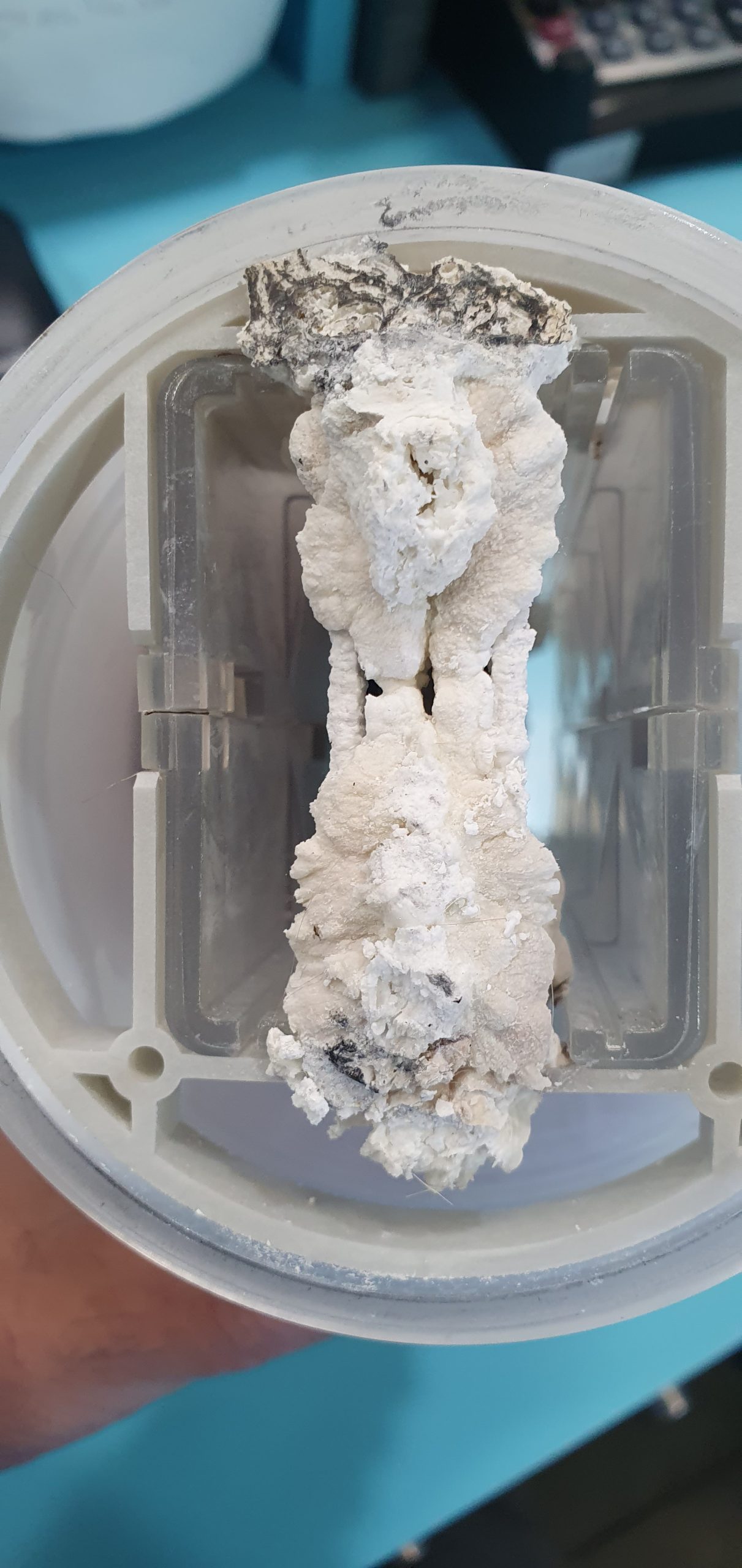 Matériel nécessaire pour détartrer la cellule